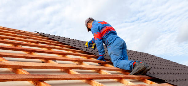 Best Asphalt Shingle Roofing  in Desloge, MO